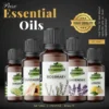 Five amber glass bottles of Pansar Essential oils lined up, including Bergamot, Sandalwood, Rosemary, Lavender, and Lemon, set against a dark textured background with a gold High Quality seal.