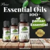 Three amber glass essential oil bottles featuring Bergamot, Sandalwood, and Rosemary resting on a wooden table with smooth dark stones and green leaves in the background.
