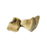 Two pieces of dried raw Badhari Qand (Vidarikand / بدھاری قند) herbal root on a plain white background.