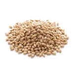 Small pile of high-quality raw whole barley (jow) grains isolated on a clean white background.